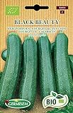 foto: jetzt Germisem Zucchini BLACK BEAUTY, ECBIO4018 Online, bester Preis 3,99 € neu 2024-2023 Bestseller, Rezension