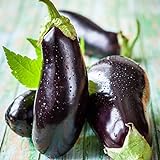 photo: You can buy David's Garden Seeds Eggplant Black Beauty 2477 (Black) 50 Non-GMO, Heirloom Seeds online, best price $4.95 new 2024-2023 bestseller, review