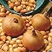 foto Semillas vegetales100Pcs/Bag Vegetable Seeds suculentas cebolla nutritiva fresca de rápido crecimiento - Semillas de cebolla 2024-2023