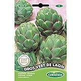 foto: comprar Germisem Vert de Laon Semillas de Alcachofa 1 g on-line, mejor precio 2,21 € nuevo 2024-2023 éxito de ventas, revisión