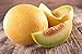photo Lot de 50 Graines de Melon Ananas - chair orange, sucrée, juteuse et très parfumée - culture facile - la plante peut porter jusqu’à 6/8 fruits - vigoureuse et très ramifiée - semences reproductibles 2024-2023
