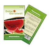 foto: jetzt Wassermelonen Sugar Baby Samen - Citrullus lanatus - Wassermelonensamen - Obstsamen - Saatgut für 10 Pflanzen Online, bester Preis 1,99 € (0,20 € / stück) neu 2024-2023 Bestseller, Rezension