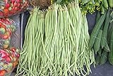 photo: You can buy Yard Long Bean Seeds 85+ Seeds, Asian Heirloom Yard Long Beans Seeds, Asparagus Beans Seeds, Phaseolus Vulgaris, Non GMO online, best price $7.45 ($0.09 / Count) new 2024-2023 bestseller, review