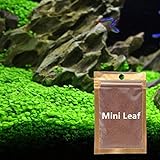 photo: You can buy 2 Pack Aquarium Grass Plant Seeds, Aquarium Small Leaf Grass, Aquarium Water Grass Seeds for Fish Tank Decoration Creates Lush Green Carpet Plant online, best price $10.98 new 2024-2023 bestseller, review