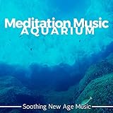photo: You can buy Soothing New Age Music online, best price $0.99 new 2024-2023 bestseller, review