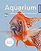 foto Aquarium: Einrichtung, Pflege, Fischauswahl (Mein Tier) 2024-2023