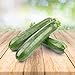 foto Zucchini 25 x Samen - Aus Portugal 100% Natürlich Ohne Chemische Anzuchthilfe Oder Gentechnik, Einfach Nur Natur Pur 2024-2023