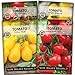 photo Sow Right Seeds - Cherry Tomato Seed Collection for Planting - Large Red Cherry, Yellow Pear, White, and Rio Grande Cherry Tomatoes - Non-GMO Heirloom Varieties to Plant and Grow Home Vegetable Garden 2024-2023