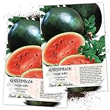 photo: You can buy Seed Needs, Sugar Baby Watermelon (Citrullus lanatus) Twin Pack of 100 Seeds Each Non-GMO online, best price $4.85 ($0.05 / Count) new 2024-2023 bestseller, review