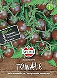 foto: jetzt 83303 Sperli Premium Tomaten Samen Black Cherry | Cherrytomate | Schwarze Tomaten | Cherry Tomaten | Schwarze Tomaten Samen Online, bester Preis 5,47 € neu 2024-2023 Bestseller, Rezension