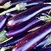photo David's Garden Seeds Eggplant Long Purple 1131 (Purple) 50 Non-GMO, Heirloom Seeds 2024-2023