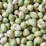 photo: You can buy David's Garden Seeds Southern Pea (Cowpea) Zipper Cream 4112 (Cream) 100 Non-GMO, Open Pollinated Seeds online, best price $4.45 new 2024-2023 bestseller, review