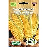 foto: comprar Germisem Orgánica Golden Bantam Semillas de Maíz Dulce 7 g on-line, mejor precio  nuevo 2024-2023 éxito de ventas, revisión
