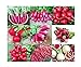 photo Please Read! This is A Mix!!! 100+ Radish Mix 9 Varieties Seeds, Heirloom Non-GMO, Colorful, Pink, Red, White, Sweet and Mild, from USA 2023-2022