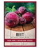 photo: You can buy Beet Seeds for Planting Detroit Dark Red 100 Heirloom Non-GMO Beets Plant Seeds for Home Garden Vegetables Makes a Great Gift for Gardeners by Gardeners Basics online, best price $5.95 new 2024-2023 bestseller, review