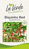 foto: jetzt Biquinho Red Peperonisamen Online, bester Preis 3,25 € neu 2024-2023 Bestseller, Rezension