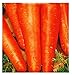 foto Semillas de zanahoria san valerio - verduras - daucus carota - aprox. 4500 semillas - las mejores semillas de plantas - flores - frutas raras - zanahorias - idea de regalo - 2024-2023