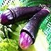 foto TENGGO Egrow 100 Teile/Paket Lila Pfeffer Samen Hausgarten Lustige Chili Peppers Gemüse Seasoners 2023-2022