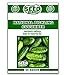 photo National Pickling Cucumber Seeds - 50 Seeds Non-GMO 2022-2021