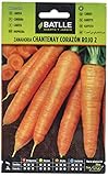 foto: jetzt Batlle Gemüsesamen - Möhre Chantenay rotes Herz (7500 Samen) Online, bester Preis 4,95 € neu 2024-2023 Bestseller, Rezension