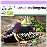 photo: acheter SAFLAX - BIO - Aubergine - Longue violette - 20 graines - Solanum melongena en ligne, meilleur prix 3,95 € nouveau 2024-2023 best-seller, examen