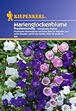foto: jetzt Sperli Blumensamen Glockenblume Marien-Prachtmischung, grün Online, bester Preis 3,02 € neu 2024-2023 Bestseller, Rezension