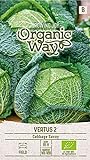 foto: jetzt Organic Way | WIRSING VERTUS 2 samen | Gemüsesamen | Kohlsamen | Garten Samen | Mittelfrühsorte für die Sommer- bzw. Herbsternte | 1 Pack Online, bester Preis 2,88 € neu 2024-2023 Bestseller, Rezension