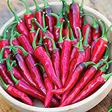 photo: You can buy Burpee Dragon Cayenne Hot Pepper Seeds 25 seeds online, best price $9.23 ($0.37 / Count) new 2024-2023 bestseller, review