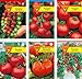 foto Frankonia-Samen / Tomatensamen-Sortiment / 6 Tomatensorten / Tomate Supersweet / Tomate Harzfeuer / Tomate Matina / Tomate Hellfrucht / Fleischtomate / Tomate Balkonzabuber 2024-2023
