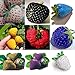 foto 100 PC/bolso Semillas de color R paja arco fresas fruta multicolor Semillas Semilla Jardín Macetas y ERS 2024-2023