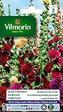 photo: acheter Vilmorin 5751742 Pack de Graines Rose Trémière Double Grande Variée en ligne, meilleur prix 4,78 € nouveau 2024-2023 best-seller, examen