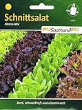foto: jetzt Schnittsalat Fitness Mix Salat vitaminreich Online, bester Preis 2,50 € neu 2024-2023 Bestseller, Rezension