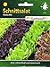 foto Schnittsalat Fitness Mix Salat vitaminreich 2024-2023