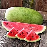 photo: You can buy NIKA SEEDS - Fruit Watermelon Charleston Grey Green - 20 Seeds online, best price $8.95 ($0.45 / Count) new 2024-2023 bestseller, review