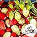 foto 1 Beutel Erdbeer samen hohe Keimrate leicht zu wachsen einfach, kompakte und praktische gemischte rote kletternde Erdbeer samen für den Garten zu Hause Erdbeer samen Eine Größe 2022-2021