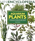 photo: You can buy Aquarium Plants: Comprehensive coverage, from growing them to perfection to choosing the best varieties. (Mini Encyclopedia Series) online, best price $12.57 new 2024-2023 bestseller, review