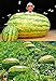 photo pinkdoseâ ® 2018 vente chaude Graines de Pastèque géant (250 + LBS), 1 boite professionnelle, 20 graines/boîte, Iwanaga Giant 'Graines de Melon cultivar japonais Rare 2024-2023