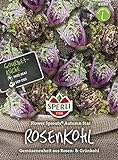 foto: jetzt Kohlsamen - Rosenkohl Flower Sprout Autumn Star von Sperli-Samen Online, bester Preis 7,48 € neu 2024-2023 Bestseller, Rezension