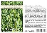 foto: jetzt Seedeo® Zuckererbse Schweizer Riesen (Pisum sativum L. convar. Axiphium) ca. 50 Samen BIO Online, bester Preis 2,95 € neu 2024-2023 Bestseller, Rezension