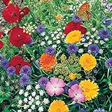 photo: You can buy Roll Out Flower Seeded Mats That Attract Butterflies - Set of 2, Butterfly online, best price $16.98 ($8.49 / Count) new 2024-2023 bestseller, review