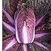 photo David's Garden Seeds Cabbage Merlot 9797 (Red) 50 Non-GMO, Hybrid Seeds 2024-2023