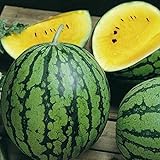 photo: You can buy David's Garden Seeds Fruit Watermelon Yellow Petite 9832 (Yellow) 25 Non-GMO, Heirloom Seeds online, best price $4.45 new 2024-2023 bestseller, review