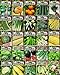 photo Set of 25 Premium Vegetable & Herb Seeds - 25 Deluxe Variety Premium Vegetable & Herb Garden 100% Non-GMO Heirloom 2024-2023