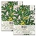 photo Seed Needs, Rue Herb (Ruta graveolens) Twin Pack of 200 Seeds Each Non-GMO 2024-2023