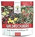 photo Deer Resistant Wildflower Seed Mixture - Bulk 1 Ounce Packet - Over 15,000 Deer Tolerant Seeds - Open Pollinated and Non GMO 2024-2023