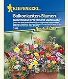 foto: jetzt Balkonkasten-Blumenmix Pflegeleichte Sonnenkinder,1 Portion Online, bester Preis 3,99 € neu 2024-2023 Bestseller, Rezension