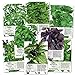 photo Basil Seed Packet Collection (8 Individual Seed Packets) Non-GMO Seeds by Seed Needs 2024-2023