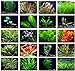 photo Texas Aquarium Plant Bundle - 20 Species Live Aquarium Plants Package 2024-2023