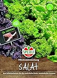 foto: jetzt 82860 Sperli Premium Salat Samen Mix | Pflücksalat Salatmischung | Saatband | Salat Saatgut | Salat Mix Samen Online, bester Preis 3,72 € neu 2024-2023 Bestseller, Rezension
