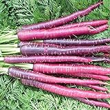 photo: You can buy David's Garden Seeds Carrot Cosmic Purple 1199 (Purple) 200 Non-GMO, Heirloom Seeds online, best price $3.45 new 2024-2023 bestseller, review